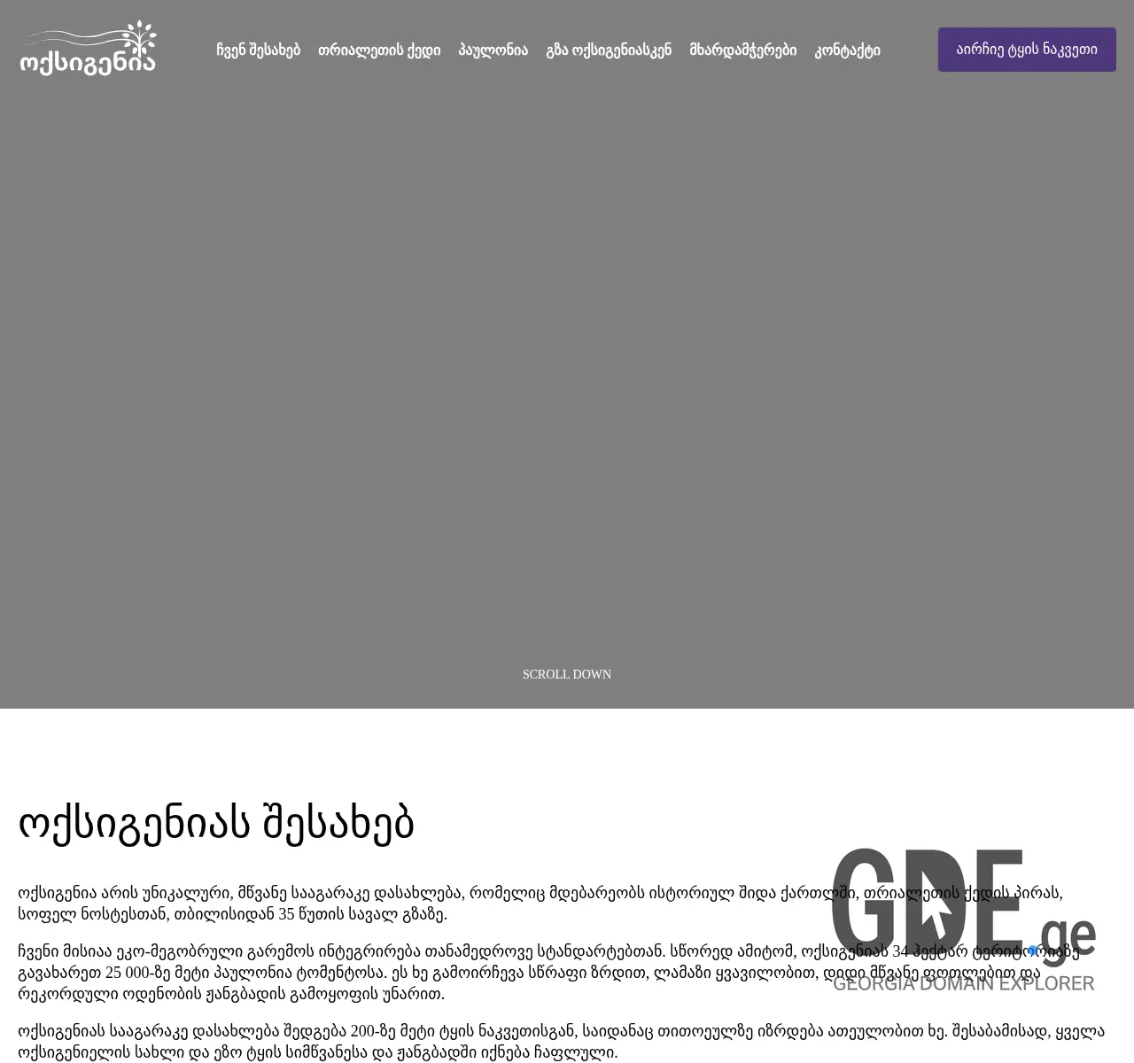 Screenshot of the site oxygenia.ge at 2025-11-26