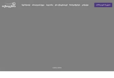 Скриншот oxygenia.ge