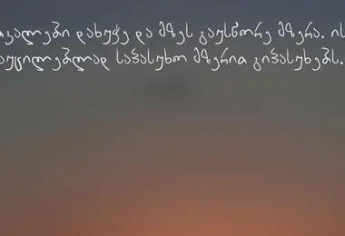 სურათი 12.12.2025-დან