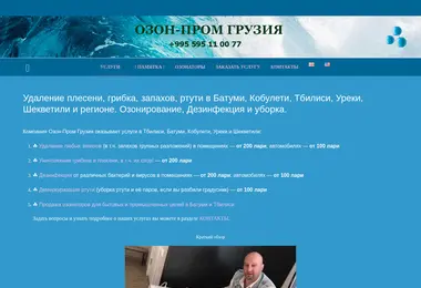 Скриншот ozon-prom.ge