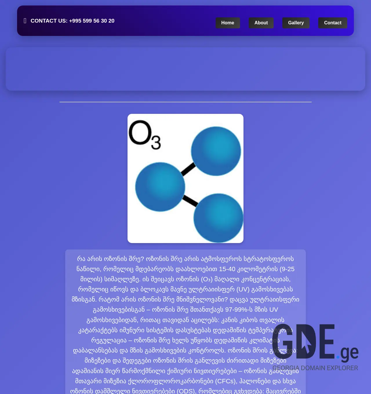 Screenshot of the site ozon.ge at 2025-11-30