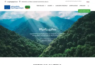 Screenshot of ozurgetilag.ge