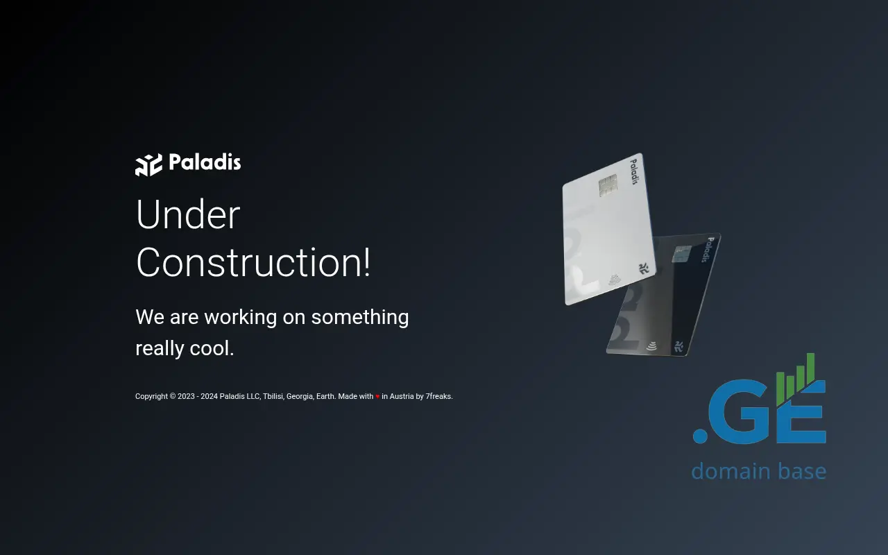Screenshot of the site paladis.ge