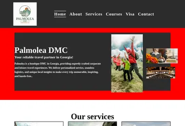 Screenshot of palmolea.ge