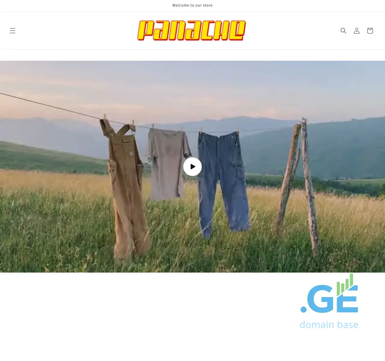 Screenshot of the site panache.ge at 2025-10-28