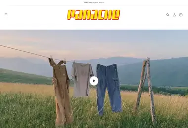 Screenshot of panache.ge