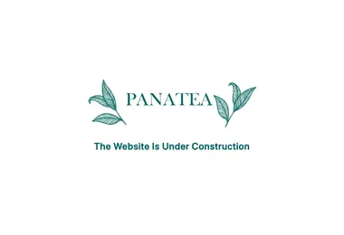 Screenshot of panatea.ge