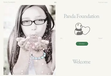 Screenshot of pandafoundation.ge
