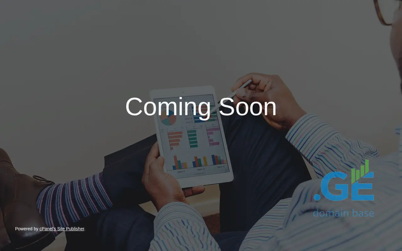 Screenshot of the site pandagroup.ge