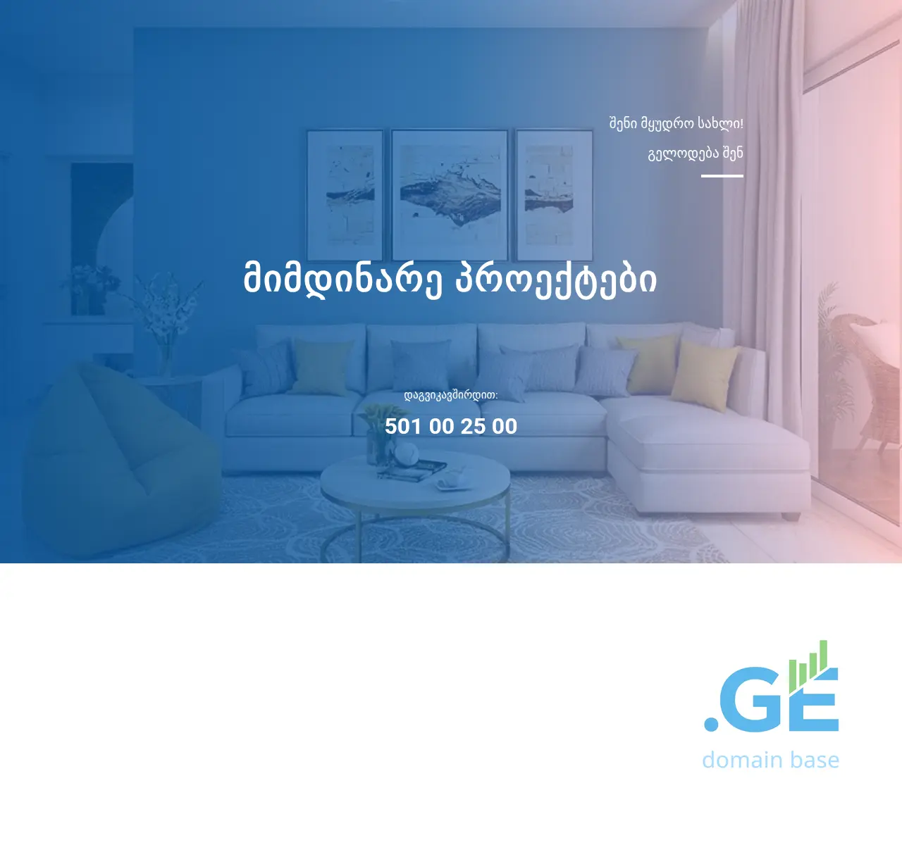 Screenshot of the site pany.ge at 2025-11-02