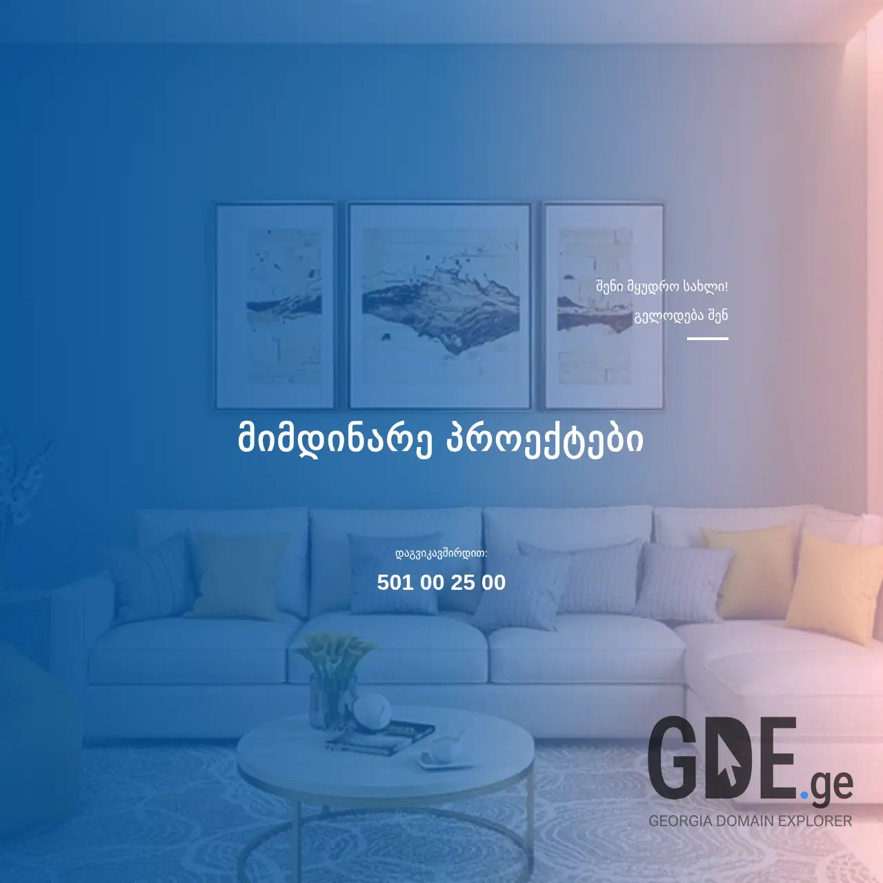 Screenshot of the site pany.ge at 2025-12-15