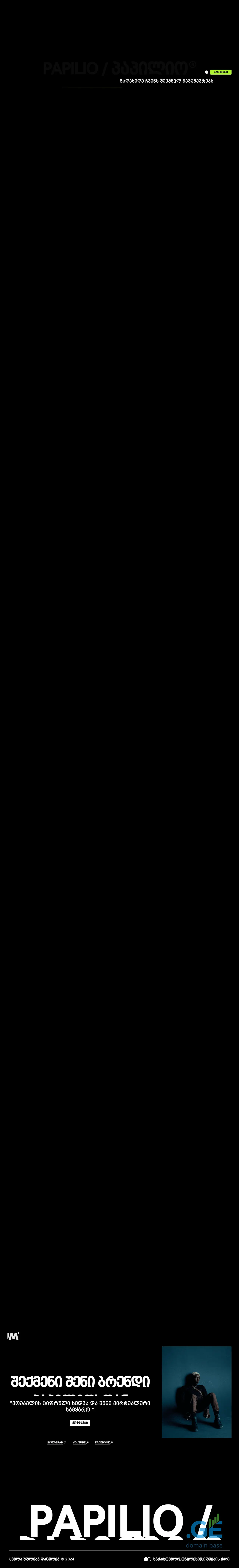 Screenshot of the site papiliogroup.ge