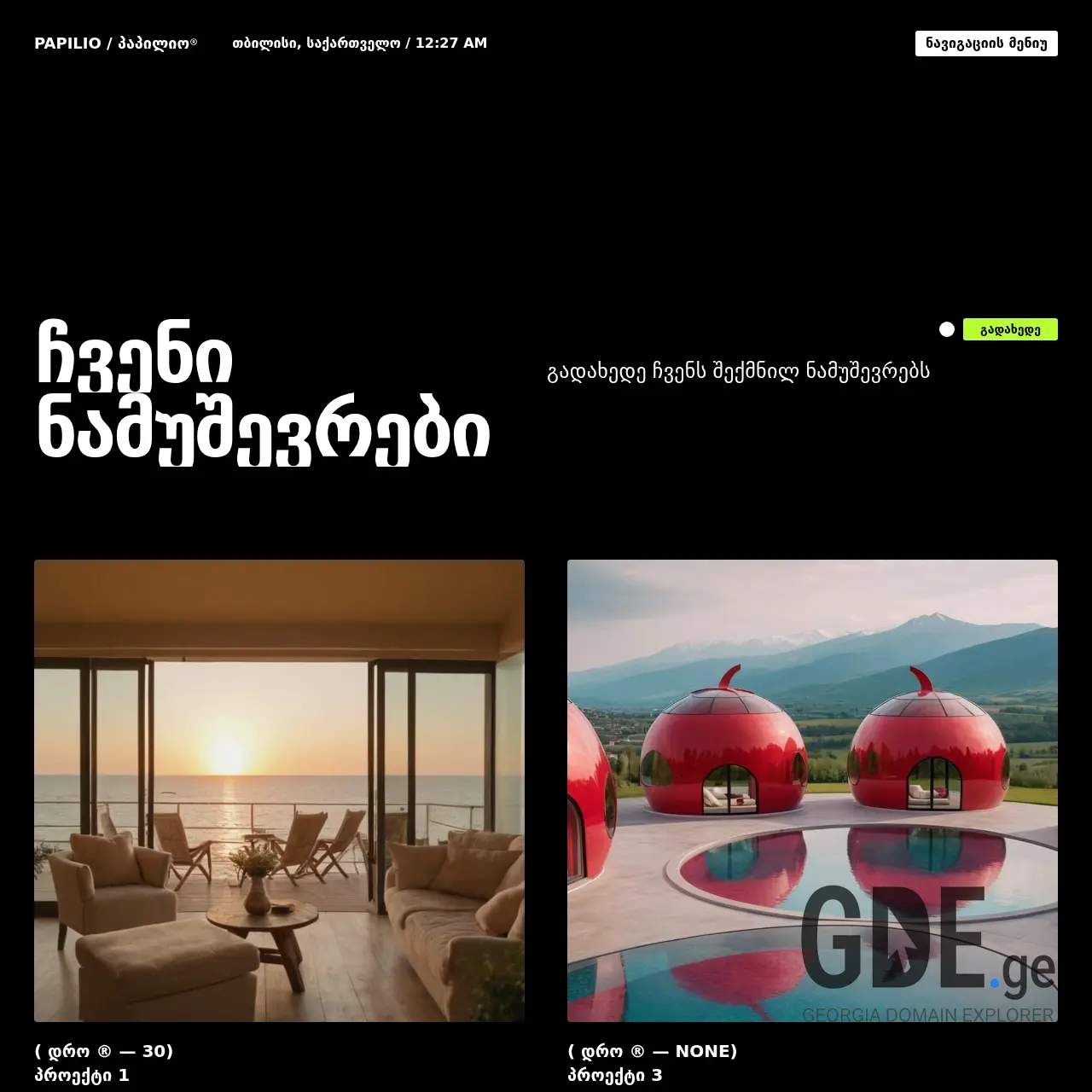 Screenshot of the site papiliogroup.ge at 2025-12-12