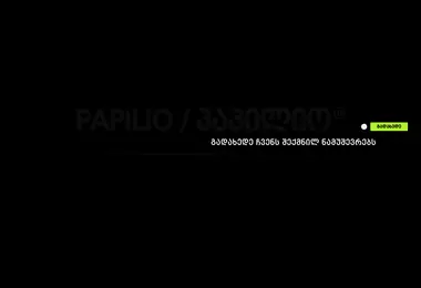 Screenshot of papiliogroup.ge