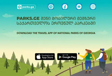 Скриншот parks.ge