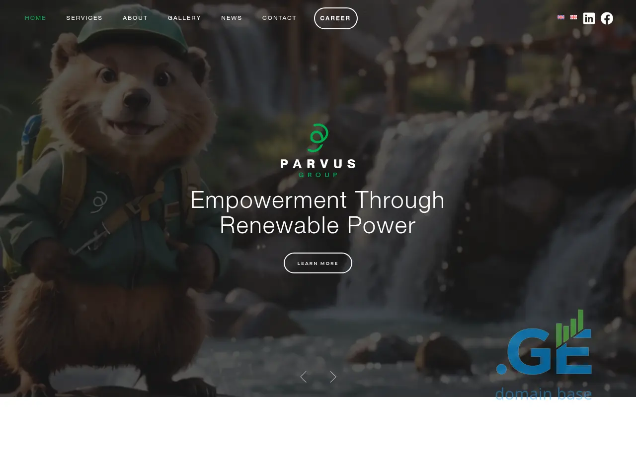 Screenshot of the site parvus.ge