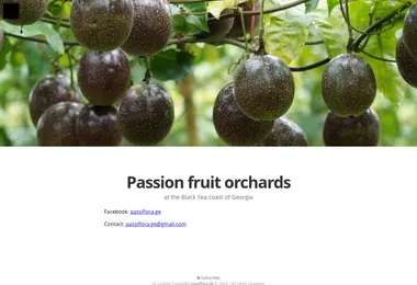 Screenshot of passiflora.ge