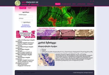 Screenshot of pathologyonline.ge