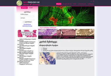 Preview from 01.12.2025