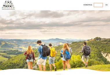 patikaiepm.ge-ის ეკრანის სურათი