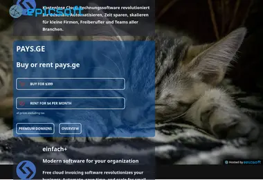 Screenshot of pays.ge