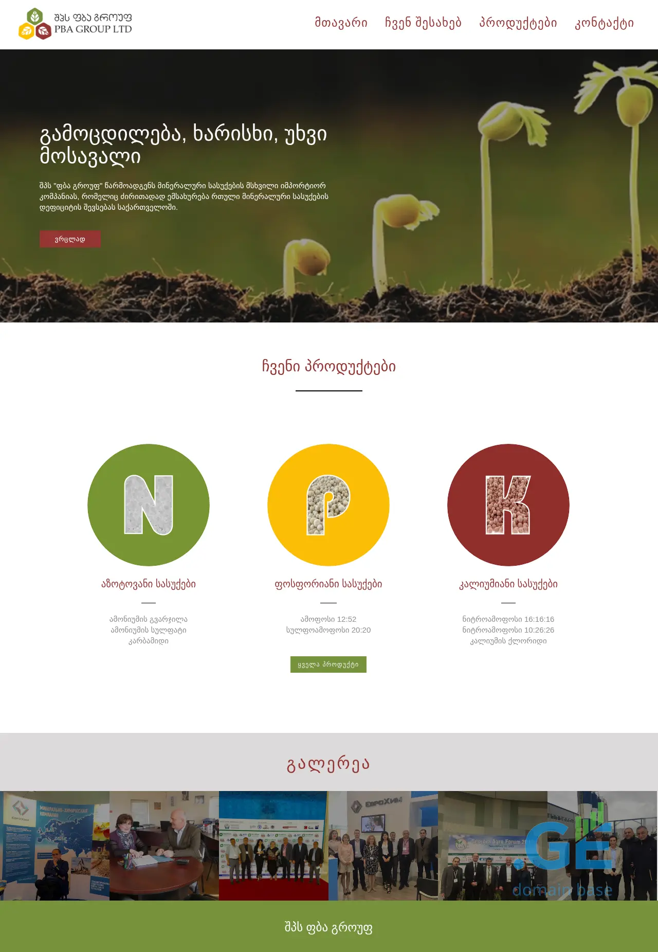 Screenshot of the site pbagroup.ge