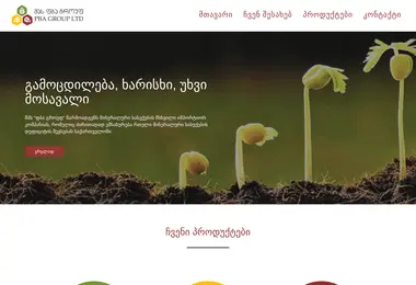 Скриншот pbagroup.ge
