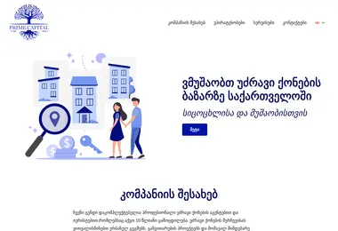 Скриншот pce.ge