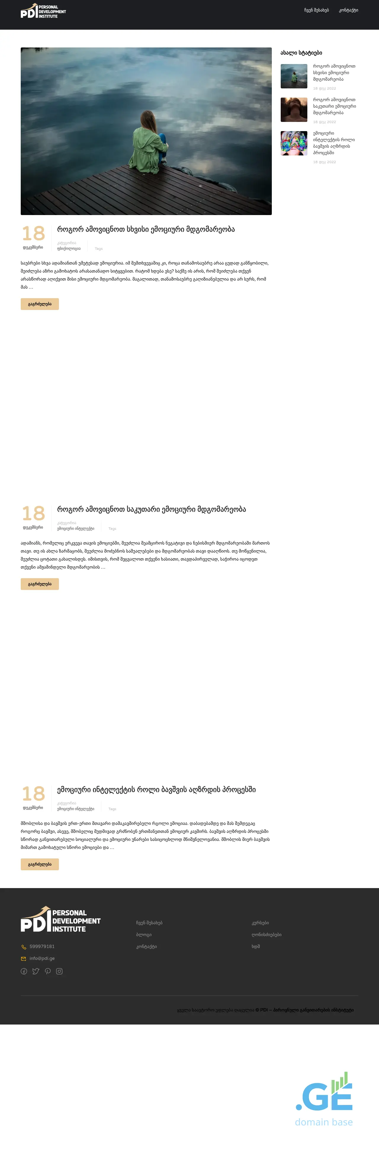 Screenshot of the site pdi.ge