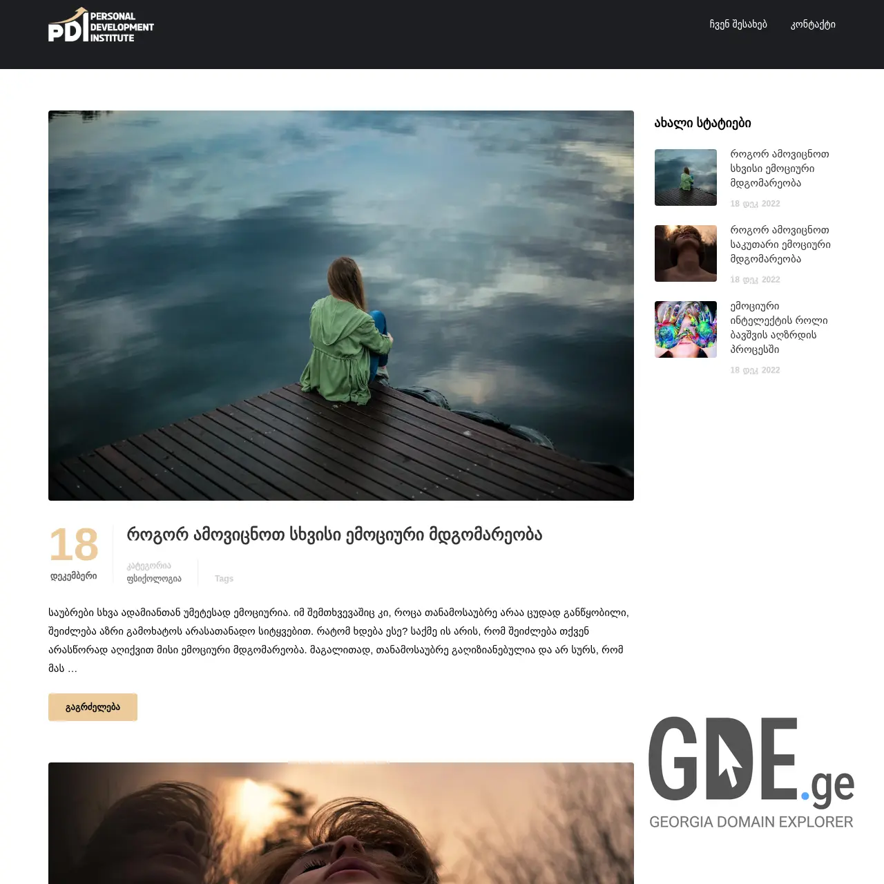 Screenshot of the site pdi.ge at 2025-12-12