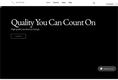 Скриншот penoplasti.ge