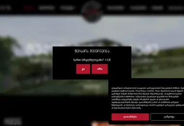 Screenshot of peradzewinery.ge