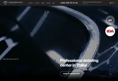 Скриншот performance.ge