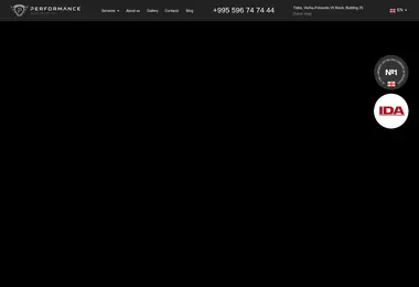 Screenshot of performance.ge