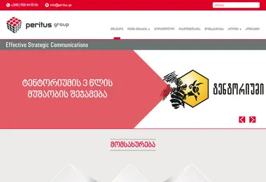 Скриншот peritus.ge