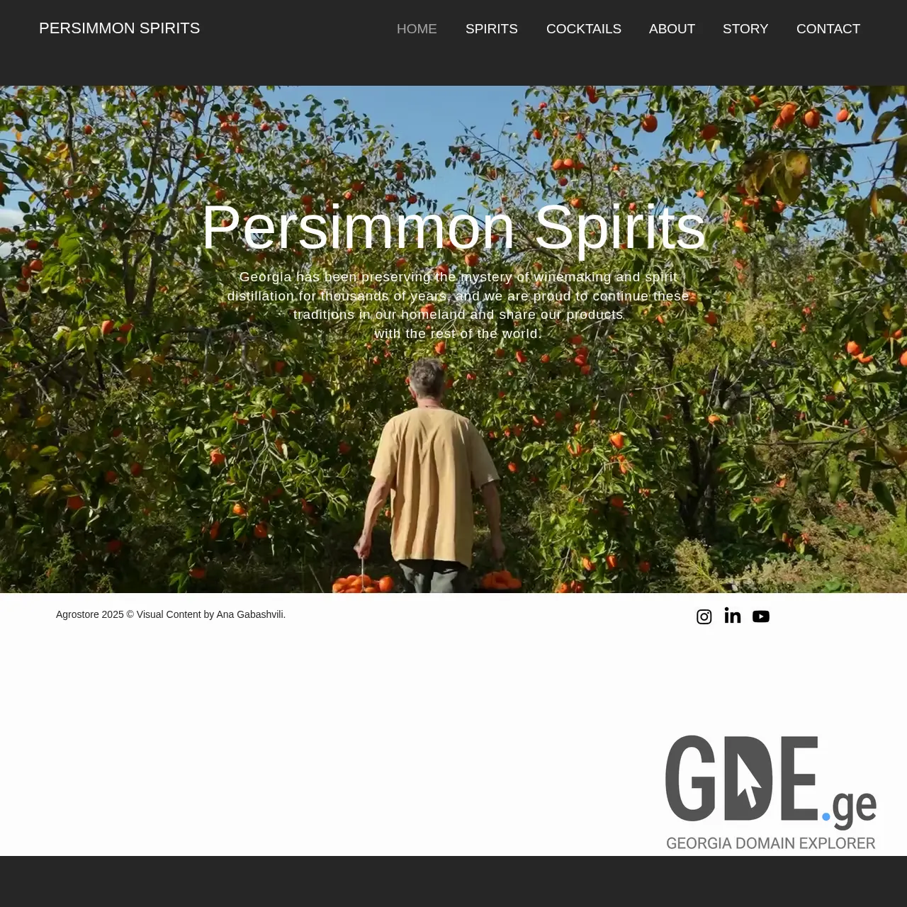Screenshot of the site persimmons.ge at 2025-12-12