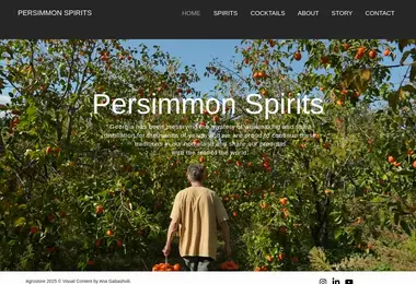 სურათი 12.12.2025-დან