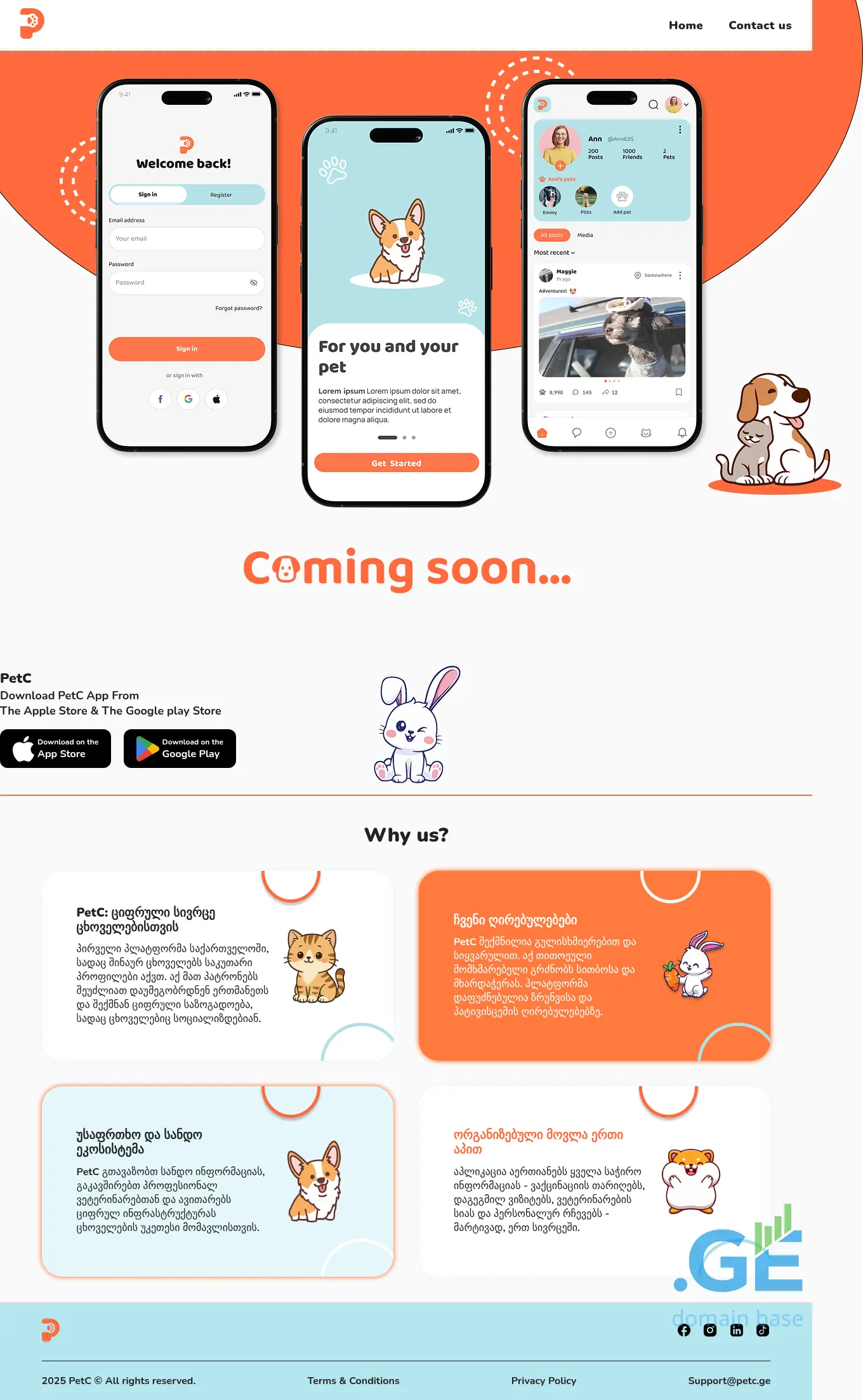 Screenshot of the site petc.ge