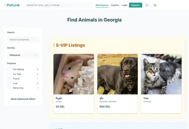 Screenshot of petlink.ge