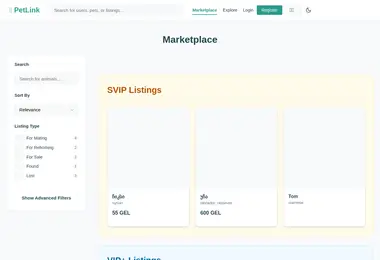 Preview from 11.12.2025