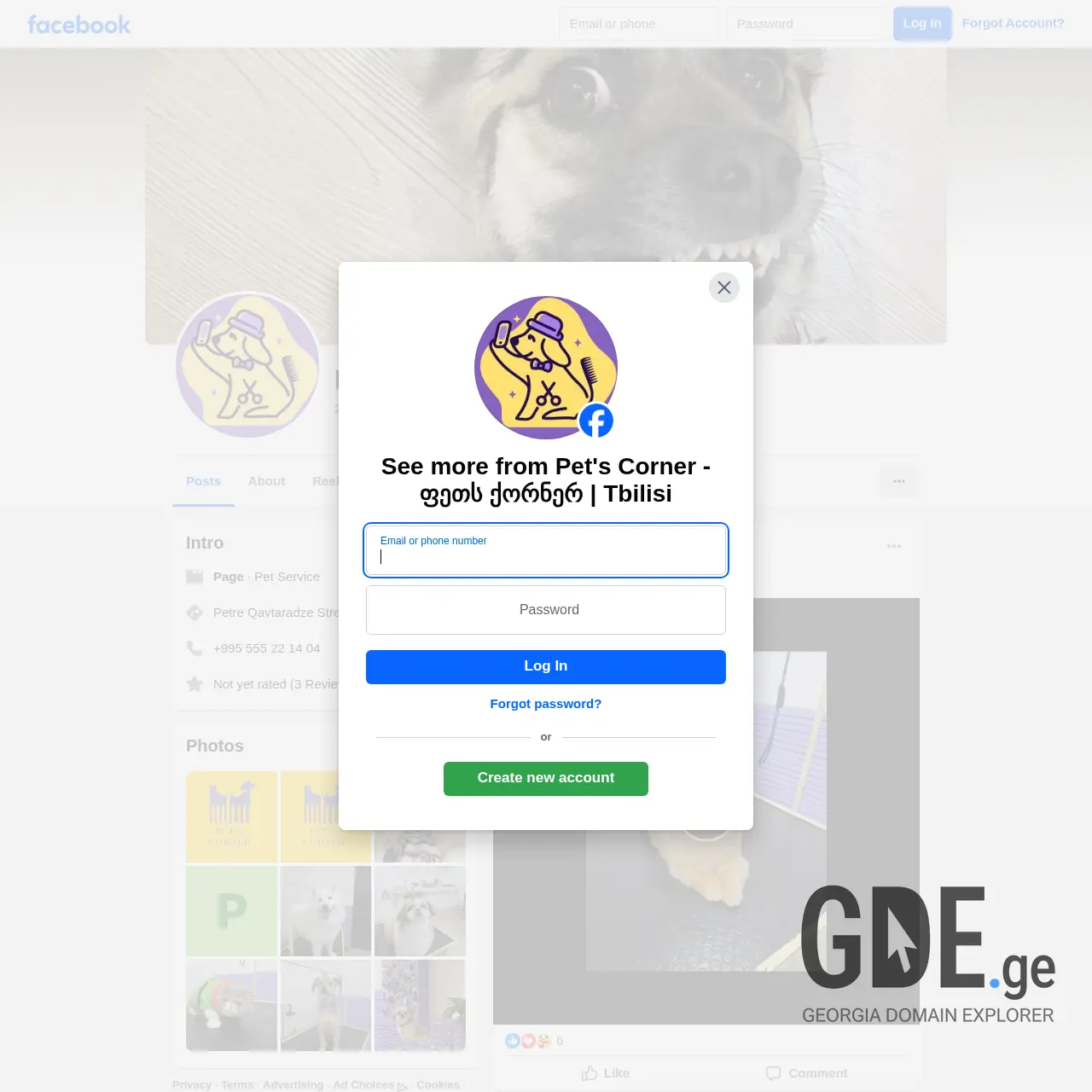 Screenshot of the site petscorner.ge at 2025-12-11