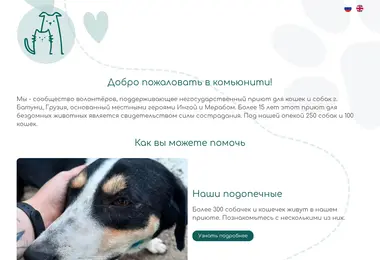 Screenshot of petshelter.ge