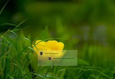 Preview from 11.12.2025