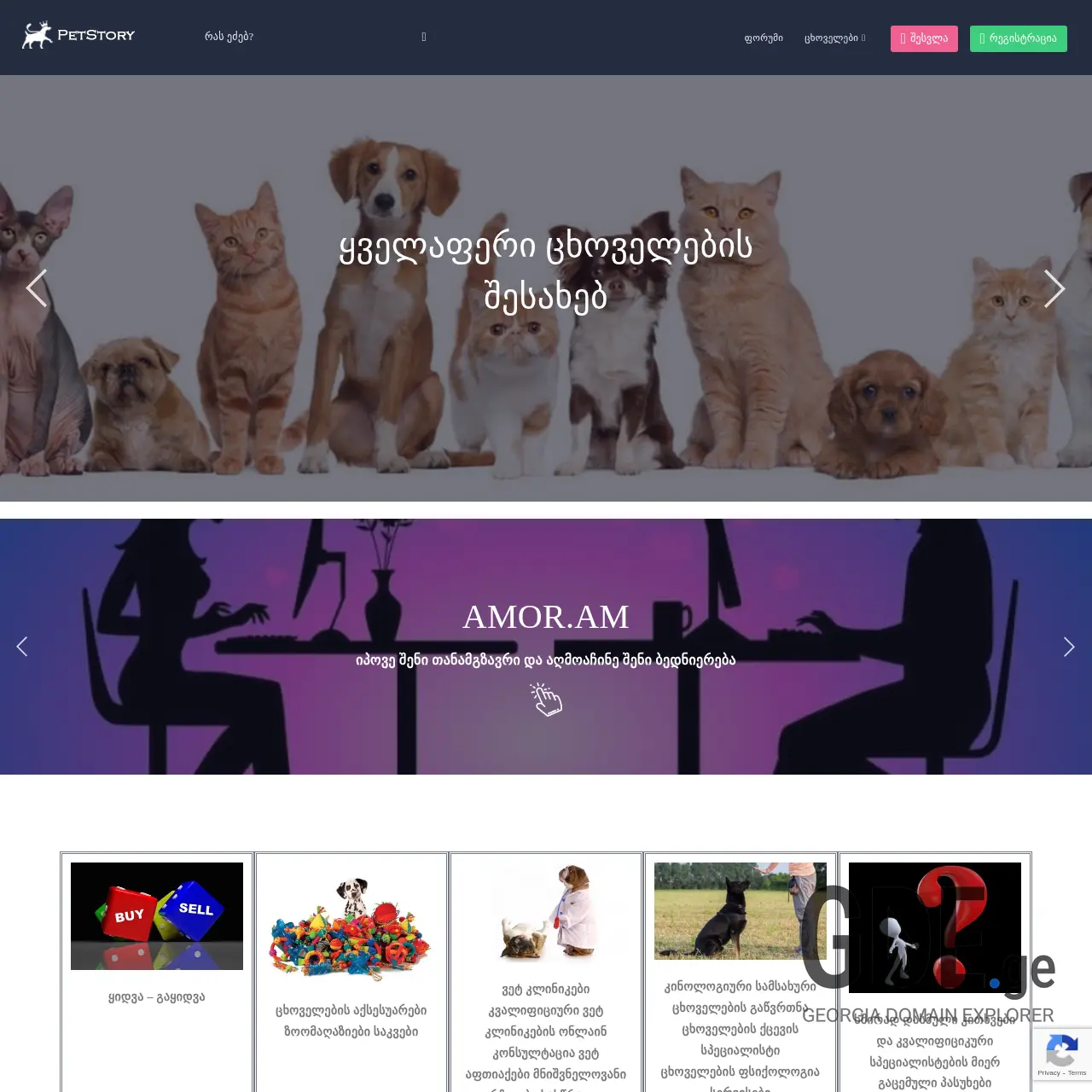 Screenshot of the site petstory.ge at 2025-12-11
