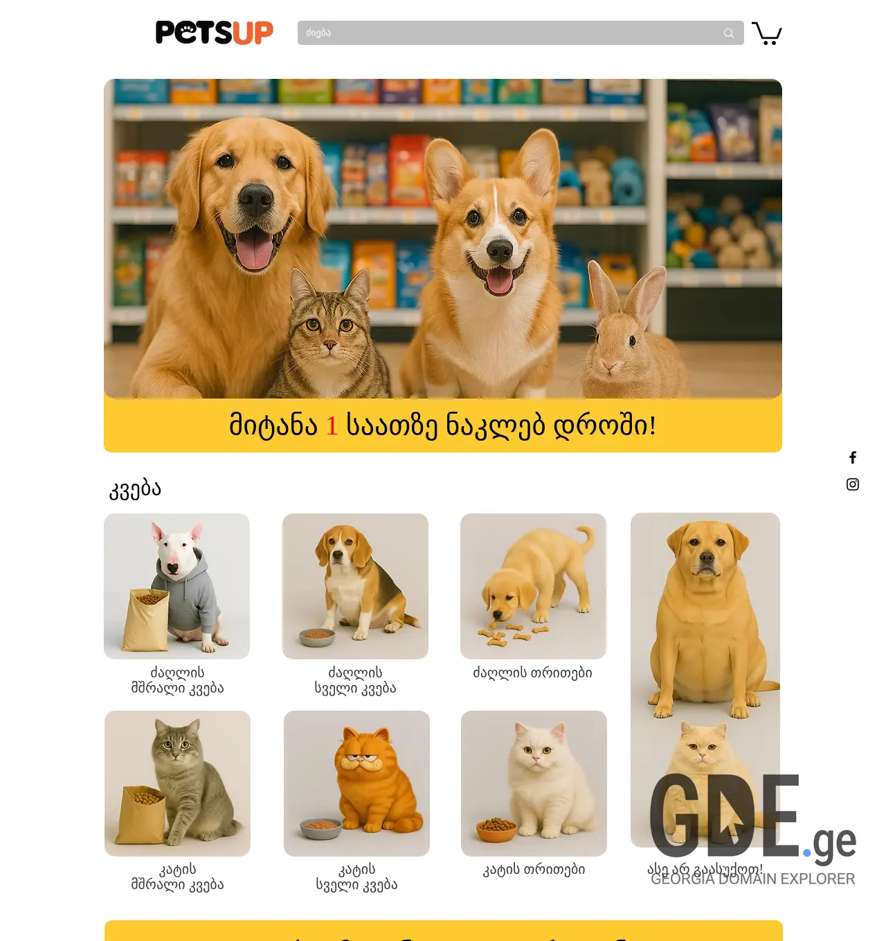 Screenshot of the site petsup.ge at 2025-12-01