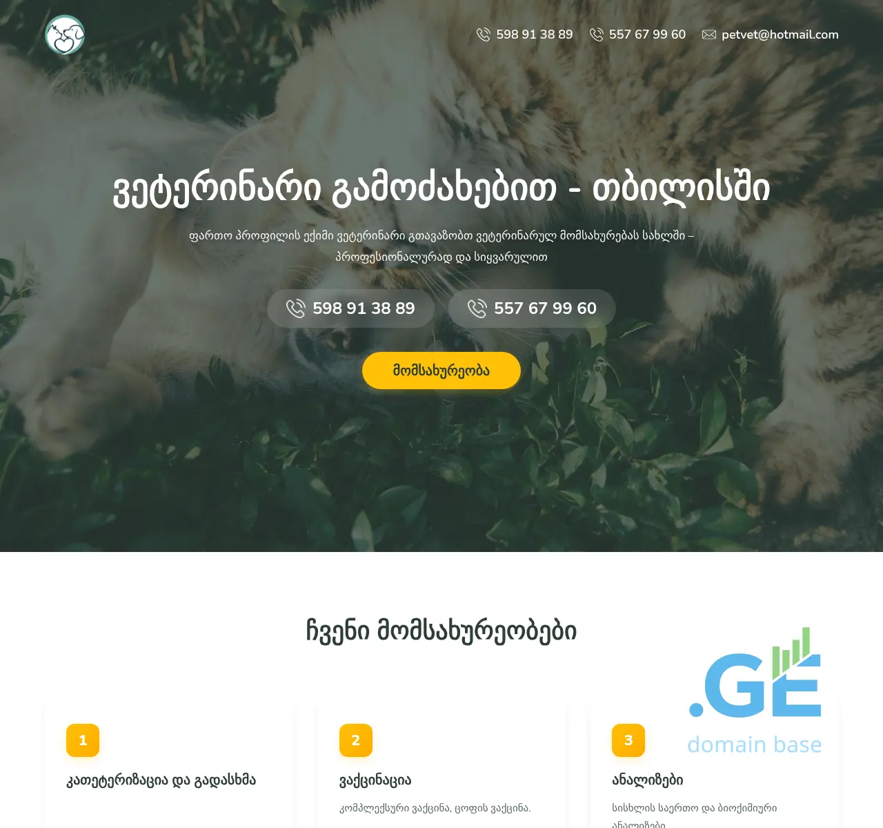 Screenshot of the site petvet.ge at 2025-11-19