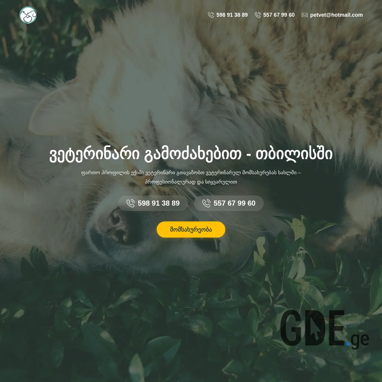 Screenshot of the site petvet.ge at 2025-12-15