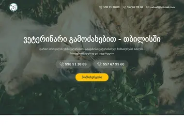 Screenshot of petvet.ge