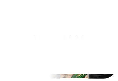 Screenshot of photocrop.ge