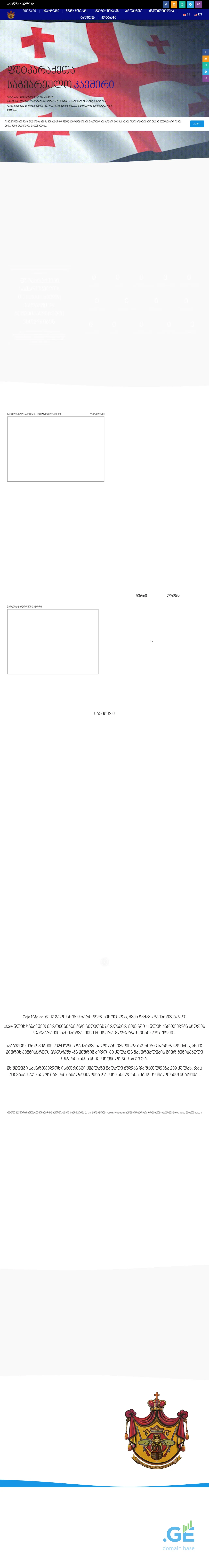 Screenshot of the site phutkaradzeebi.ge